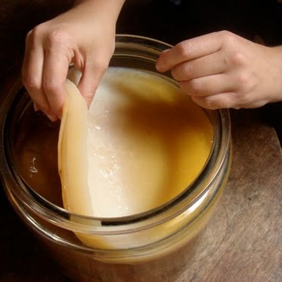 Японский чайный гриб