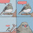 BirdWa _