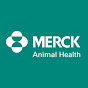Merck Animal Health Cattle YouTube Profile Photo