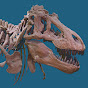 American Museum of Natural History  YouTube Profile Photo