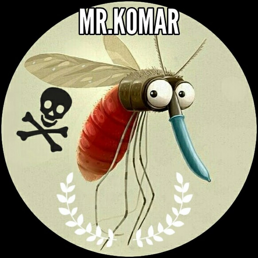 Комар шуточку шутил. Шутка века. Комара муха любила ноты. Комар шуточку шутил. Мемы про airsoft.