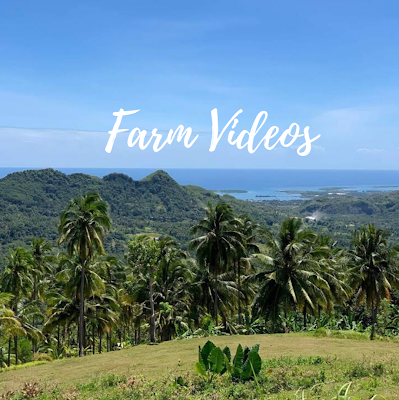 Skyranch Entrance Tagaytay From Mataas Na Kahoy