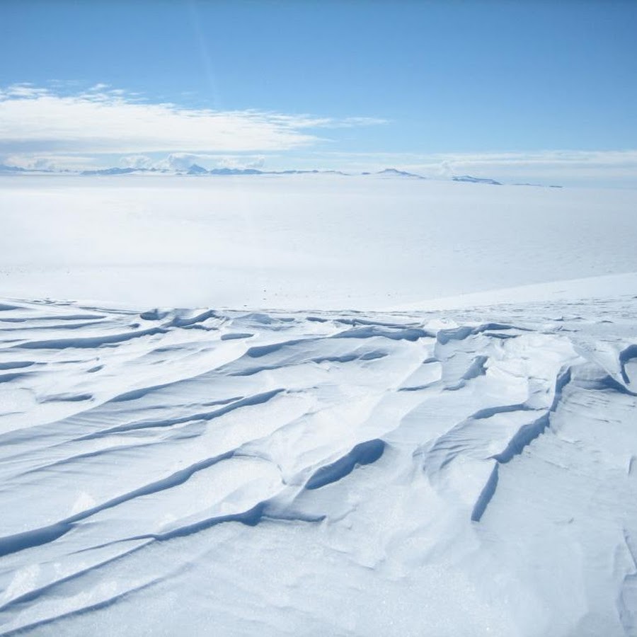 Антарктическая тундра. Арктическая и антарктическая пустыня. Арктика тундра Ледяная пустыня Гренландия. Антарктические пустыни в Антарктиде. Антарктида Полярная пустыня.
