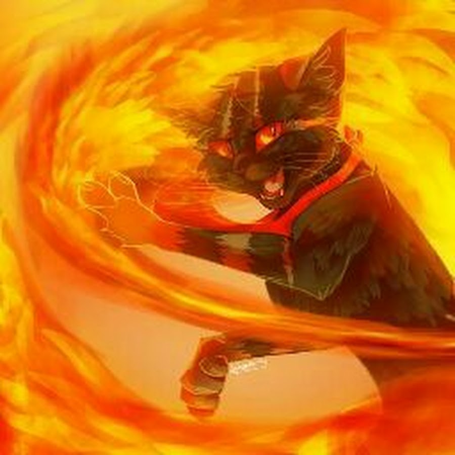Коты Воители Огненный кот
