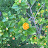 sunriseeyes0 Avatar