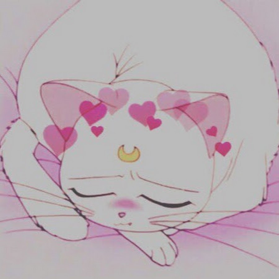 Котик эстетика рисунок