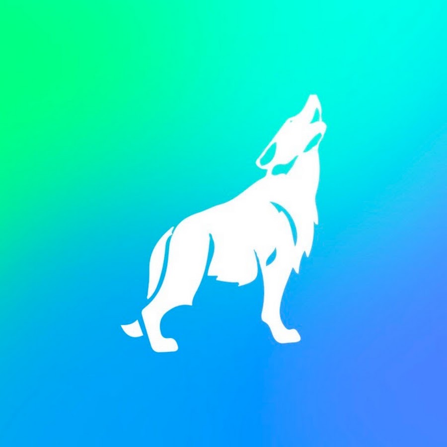 чеченский волк. король нохчи. нохчи волк. чеченский волк. кавказская овчарка длинношерстная.