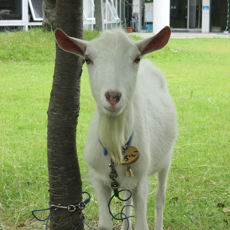 常滑市青海市民センター 青海公民館 Youtube