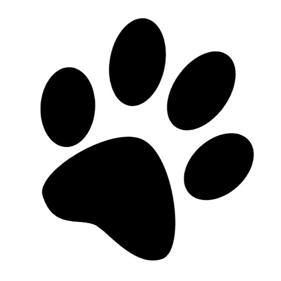 Следы кота рисунок