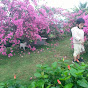 TUỔI THƠ BON BON