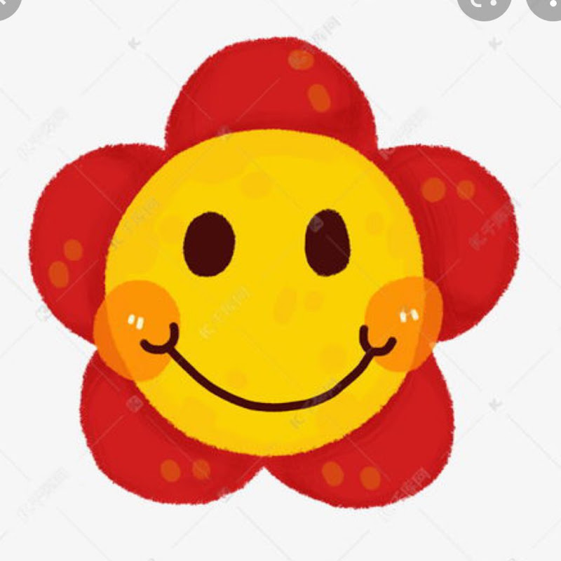 MINNIB - 網紅的藏寶箱 