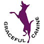 Graceful Canine Dog Training NYC - @GracefulCanines YouTube Profile Photo