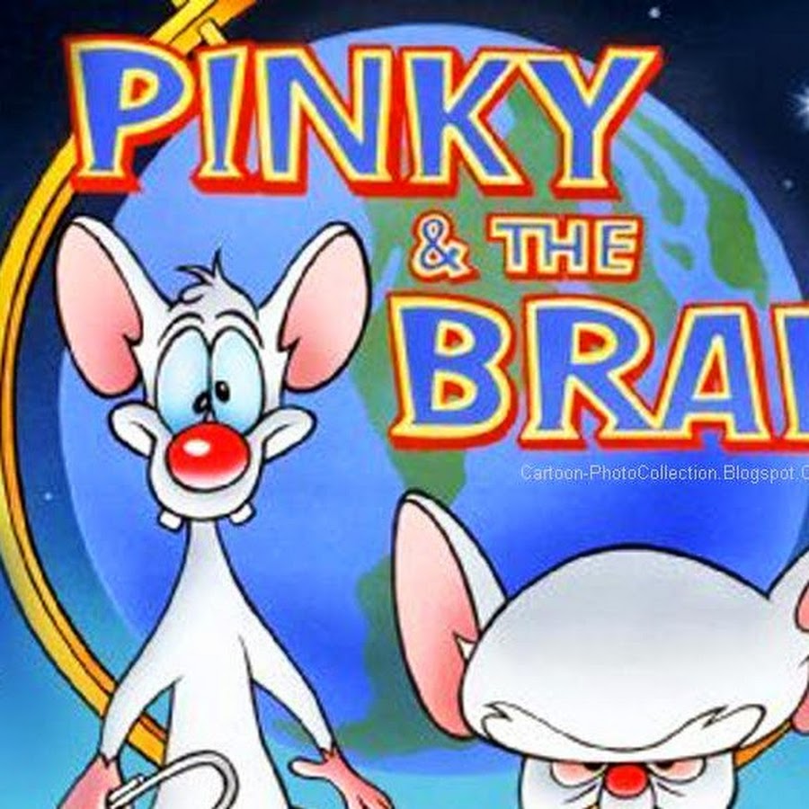 Pinky and brain. Пинки и Брейн. Pinky.