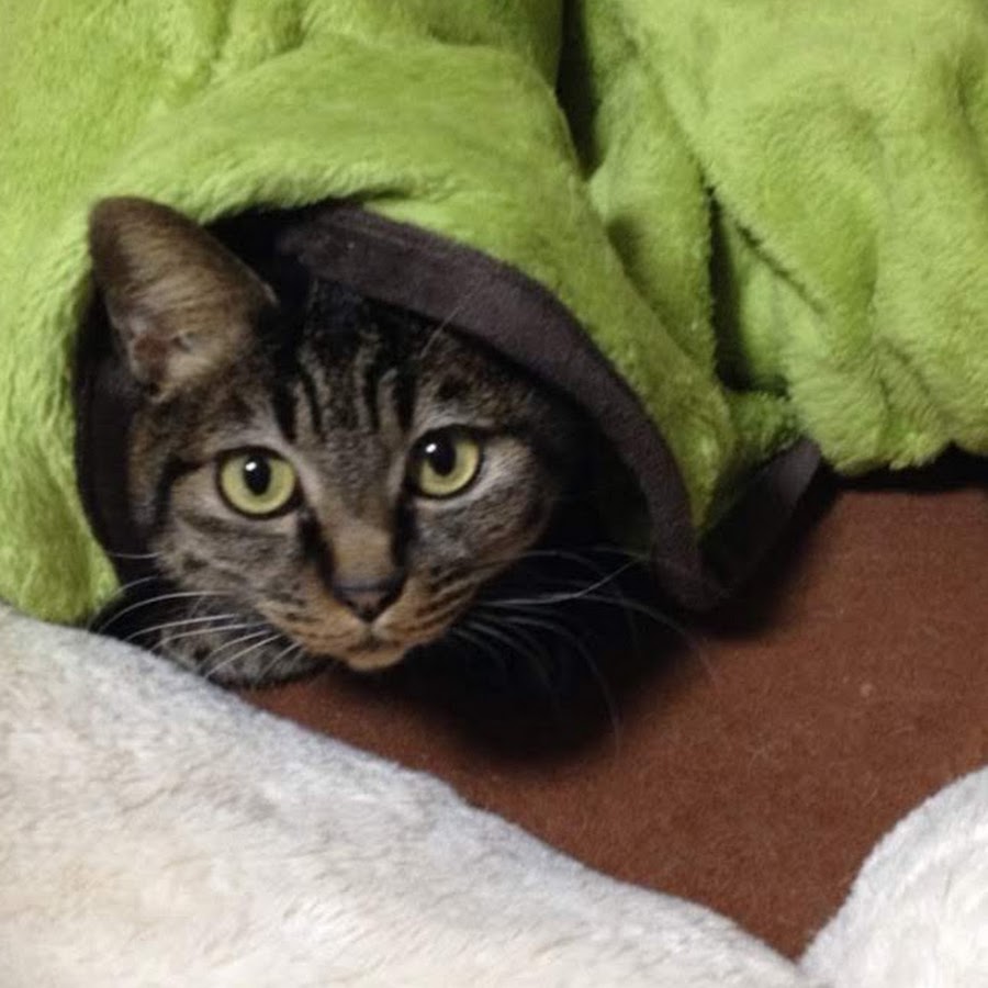 くろいろしろいろ Youtube