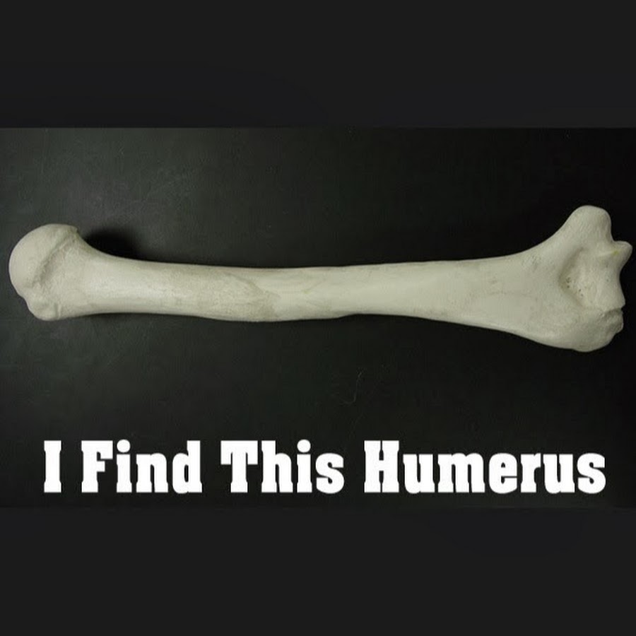 Funny bone. Бесполезные кости человека. Humorous Bone. This is Bones.