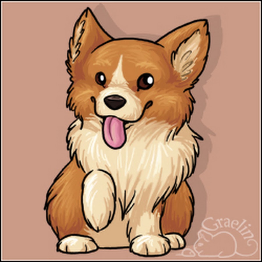 Как нарисовать милую собачку легко корги