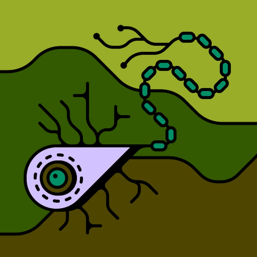 江楠蒔菜 Youtube