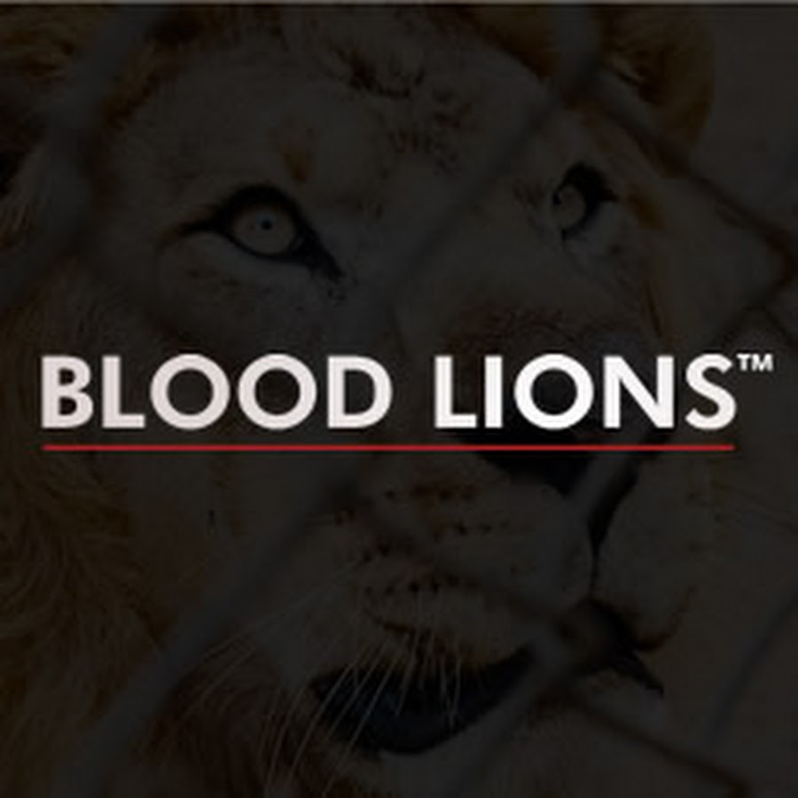 Blood Lions Official Youtube