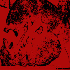 Red-Wolf16