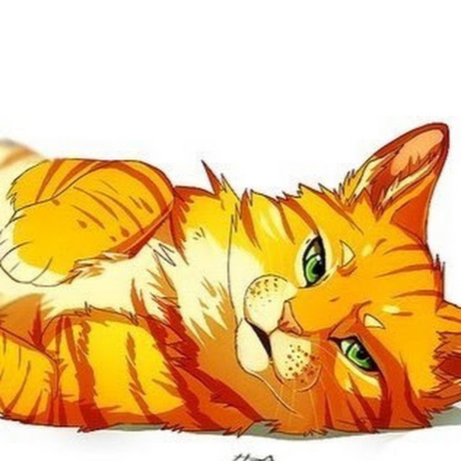 Коты воители картинки львиносвет