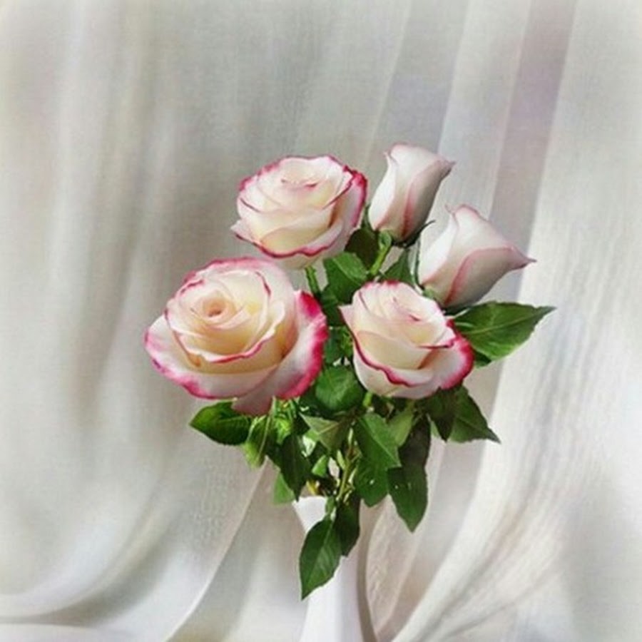Три розы в вазе. Белые розы в вазе. Нежные розы в вазе. Нежный букет в вазе. Нежные розовые розы в вазе.