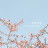 BailyDaily 힐링영상