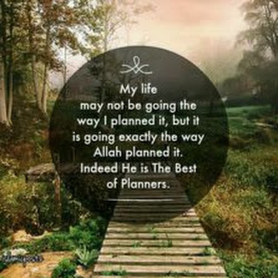 A goal without a plan is just a wish. Business plan. Succession planning. A goal without a plan is just a wish png. Планы рушатся.