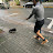 本物