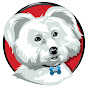 Welcome Home Doggie YouTube Profile Photo