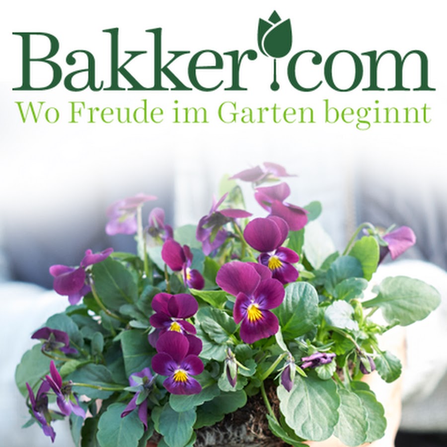 Bakker Garten & Pflanzen - YouTube