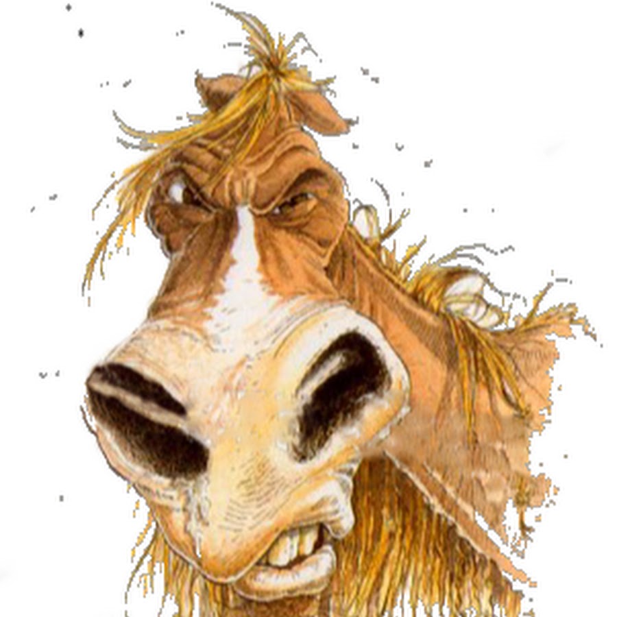 лошадь карикатура. сарай для лошади. лошади устали. смешные лошади. дряхлая лошадь.