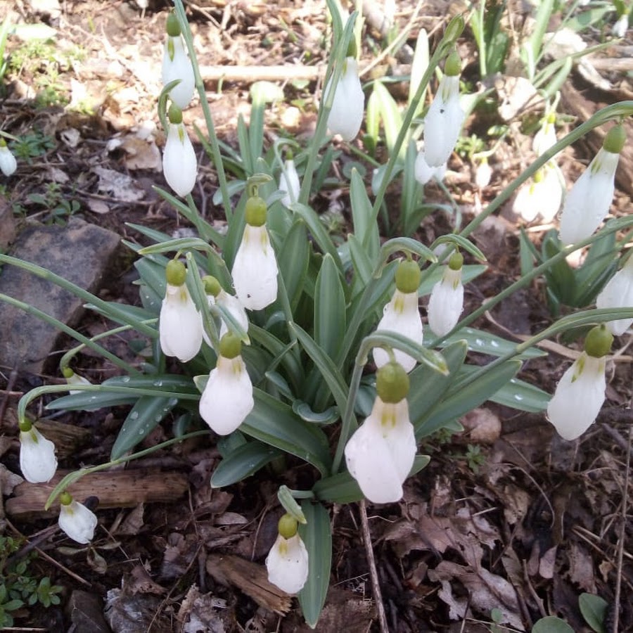 Интересные женщины