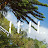 68 vanisre Thangavel Avatar