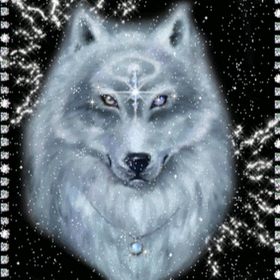 Картинки волк gif