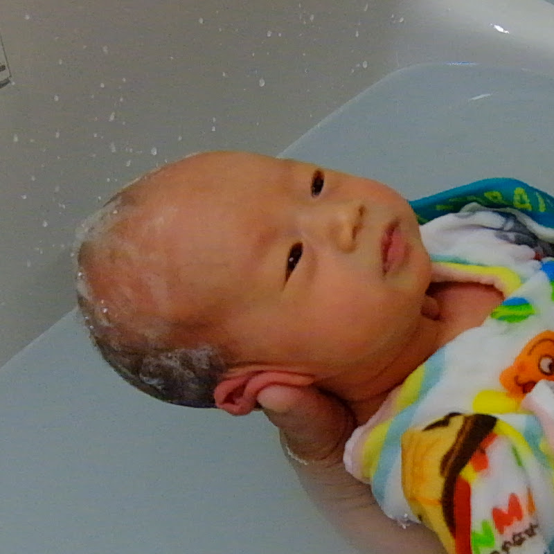 Baby & Wolf - 網紅的藏寶箱 