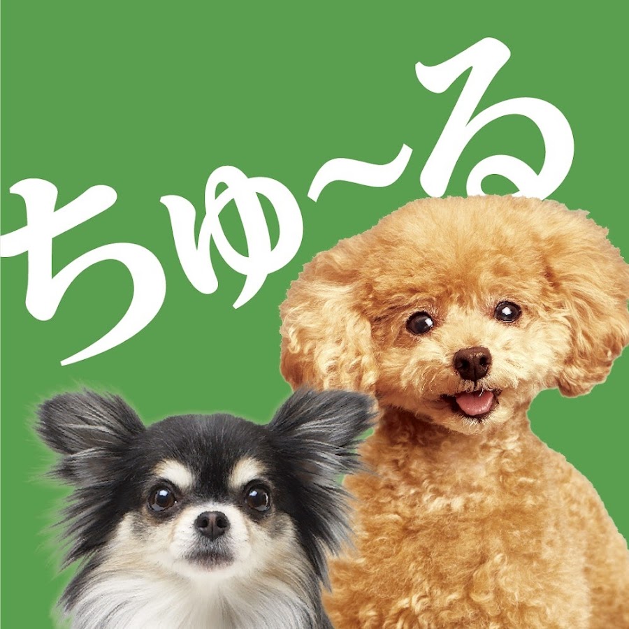 公式 いなばペットワンちゃんチャンネル Youtube