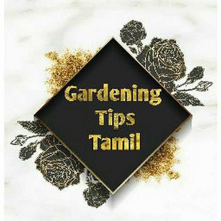 AKedOLSiBOavB1dgIah4mGikcHH7emo4rVSIlw3iJsS=s900ckc0x00ffffffnorj