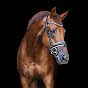 Jan Roos-Stables - @RoosStables1 YouTube Profile Photo