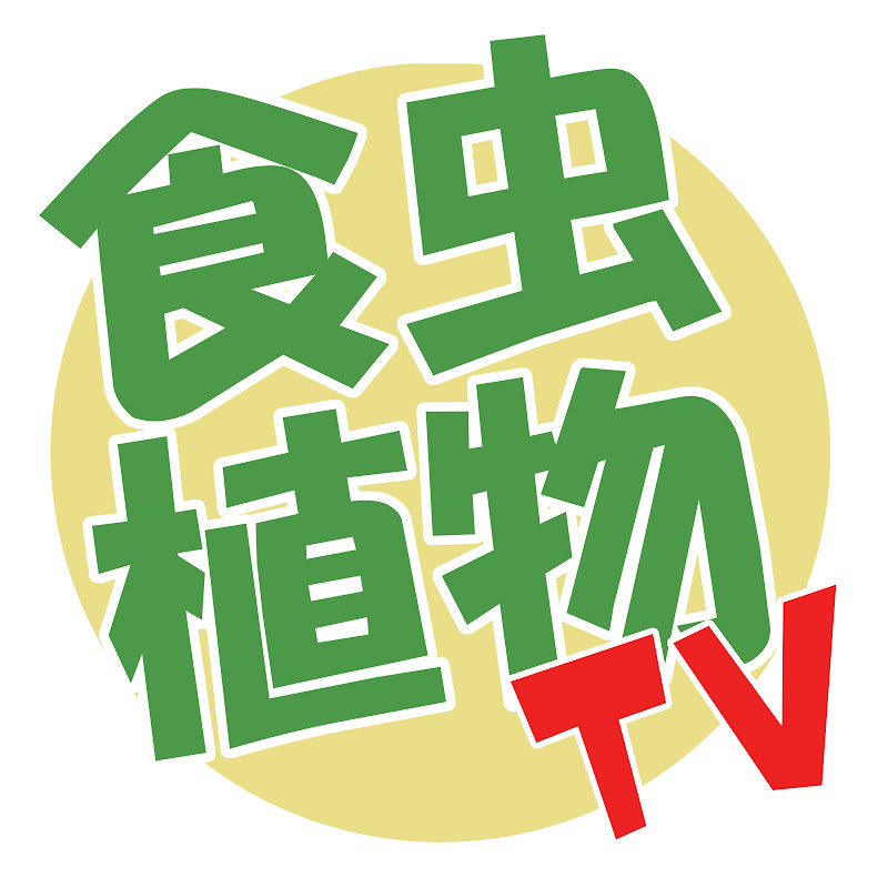 食虫植物tvの人気動画 Youtubeランキング