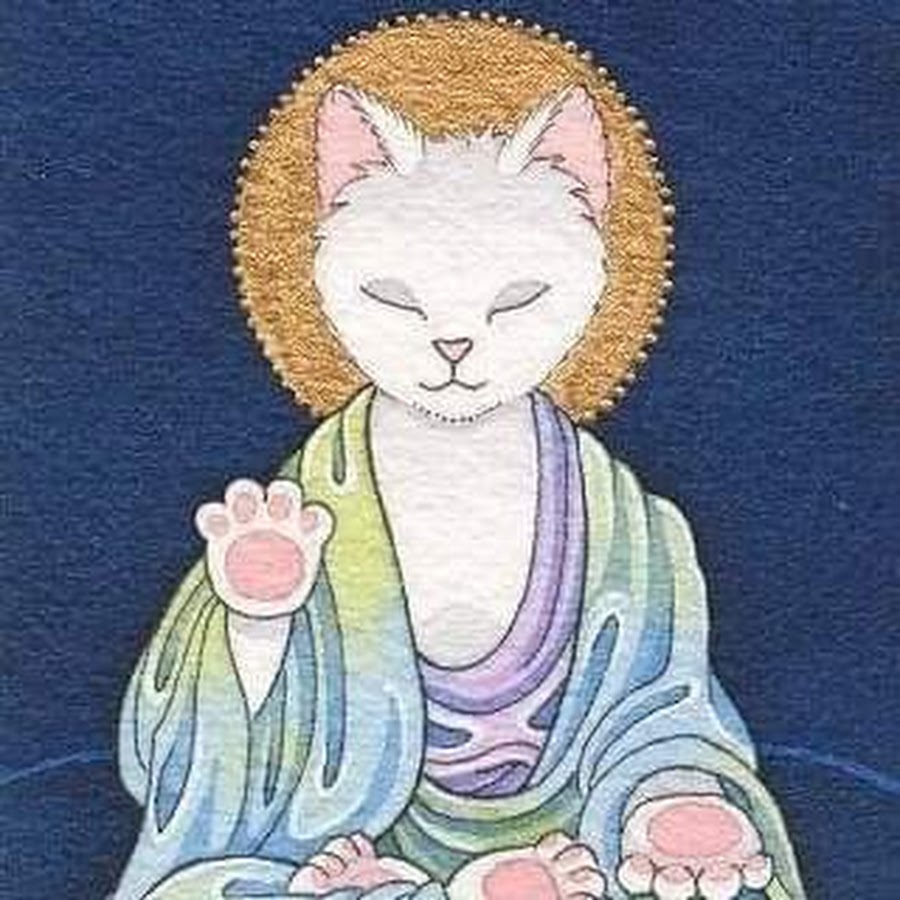 Кот буддист