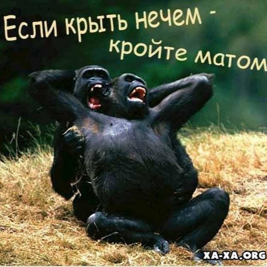 стихи пушкина буря мглою небо кроет. мне перья дергали из крыл а я летала стих. зимний вечер пушкин текст. крыть словами. у каждого есть два крыла отец.