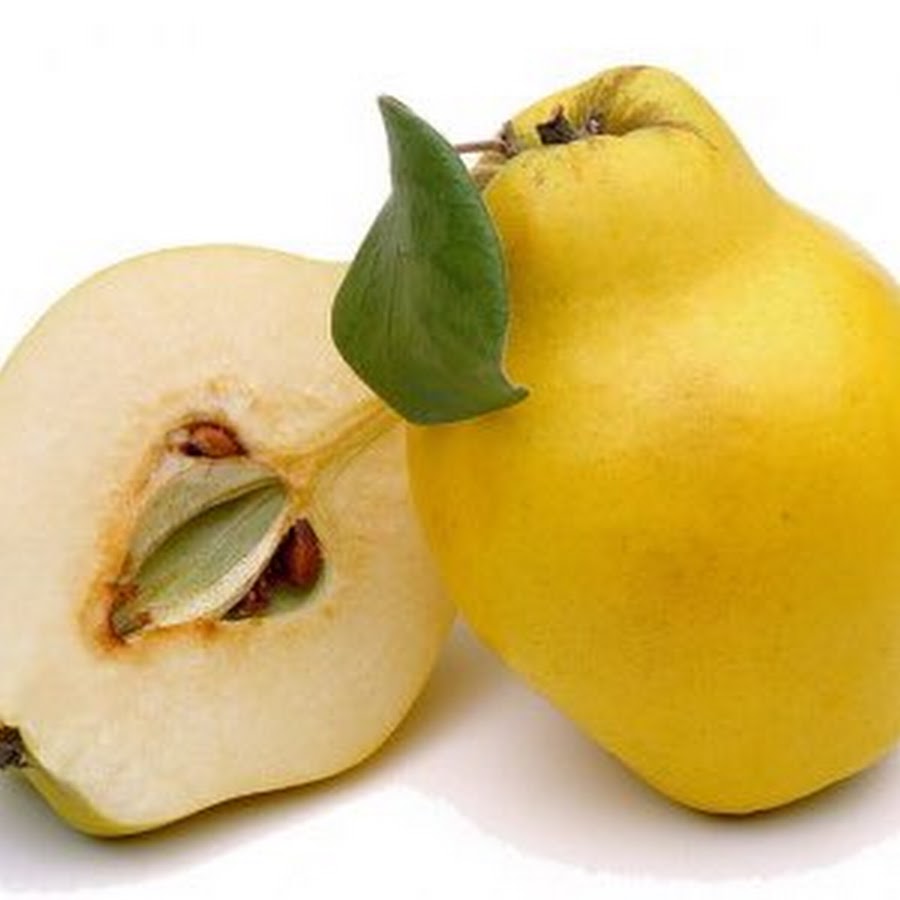 Плод похожий на грушу. Айва Азербайджанская. Айва фрукт. Жёлтый фрукт айва. Айва грушевидная дерево.