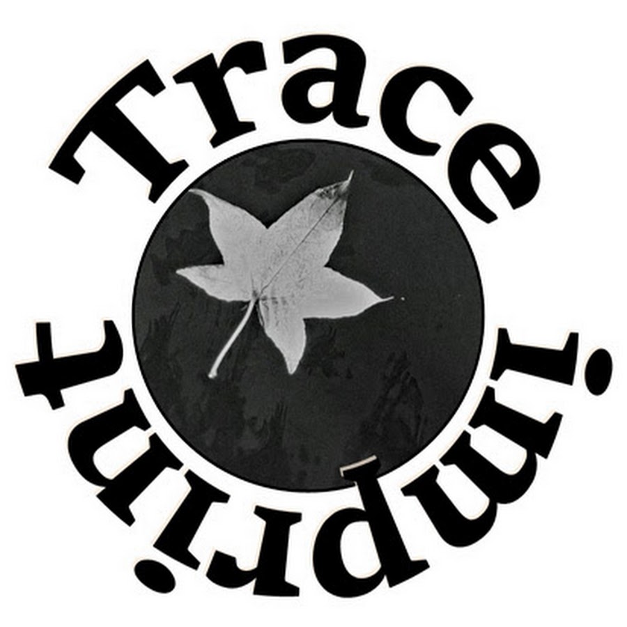 Trace down. Графомоторика для дошкольников. Trace the words. Манга трейс. Картинка trace.