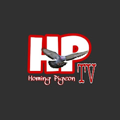 Homing Pigeon TV thumbnail
