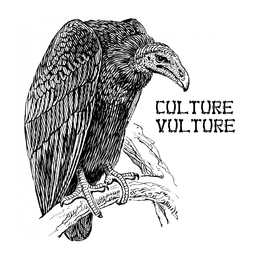 Белоголовый ястреб падальщик. Хищные птицы Стервятники. Черно белая хищная птица. Рисование хищных птиц