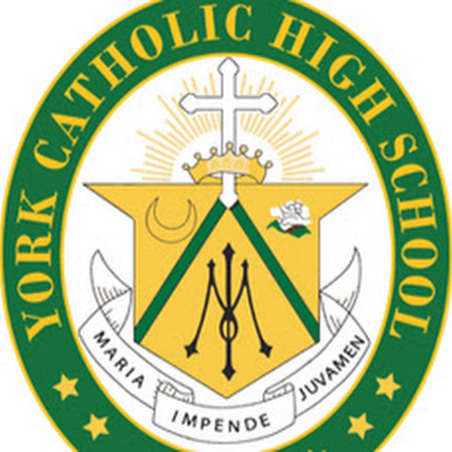 akedolskpgywz4-50rpjajeunu3m54wxtmvbixwdogs-s900-c-k-c0x00ffffff-no-rj