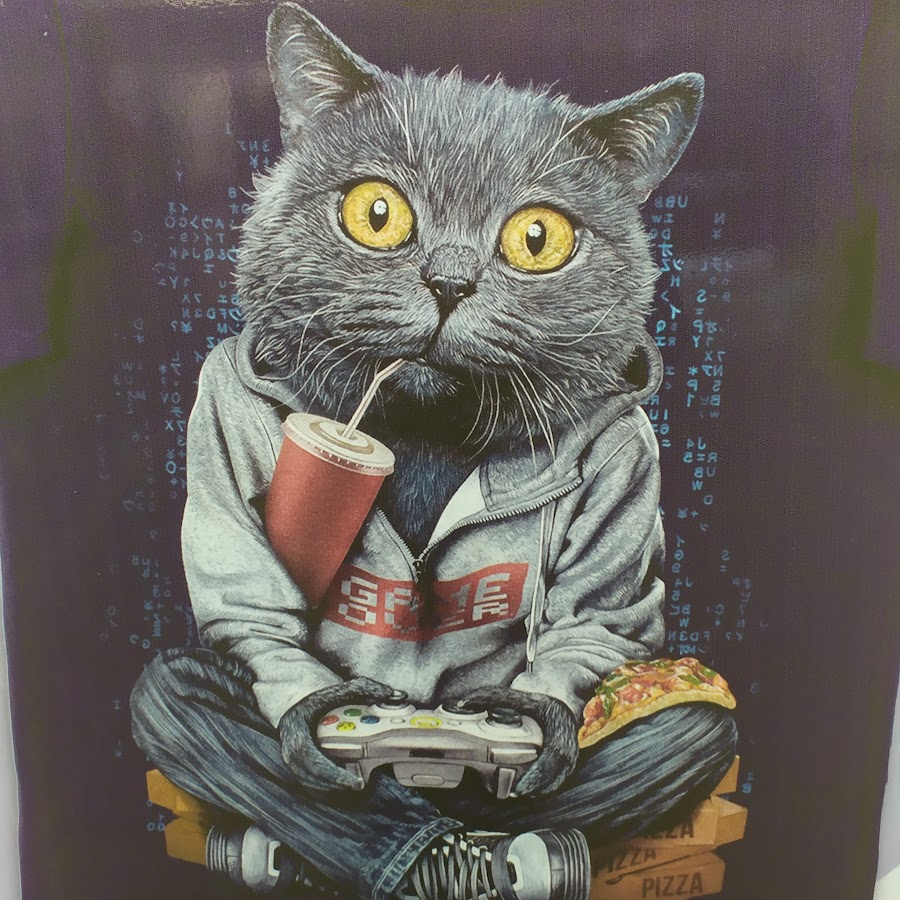 Картинки кот геймер