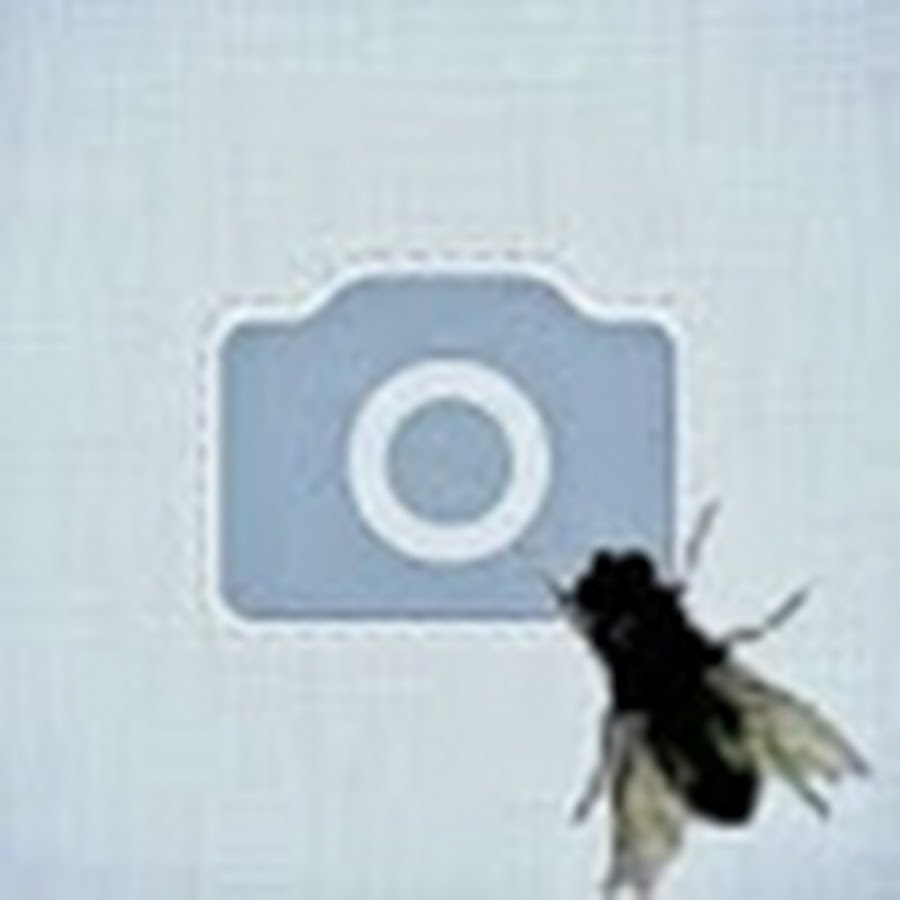 Esmeralda, кафе-бар в Волгограде на улица Мира, 63а - отзывы, адрес, телефон, фо