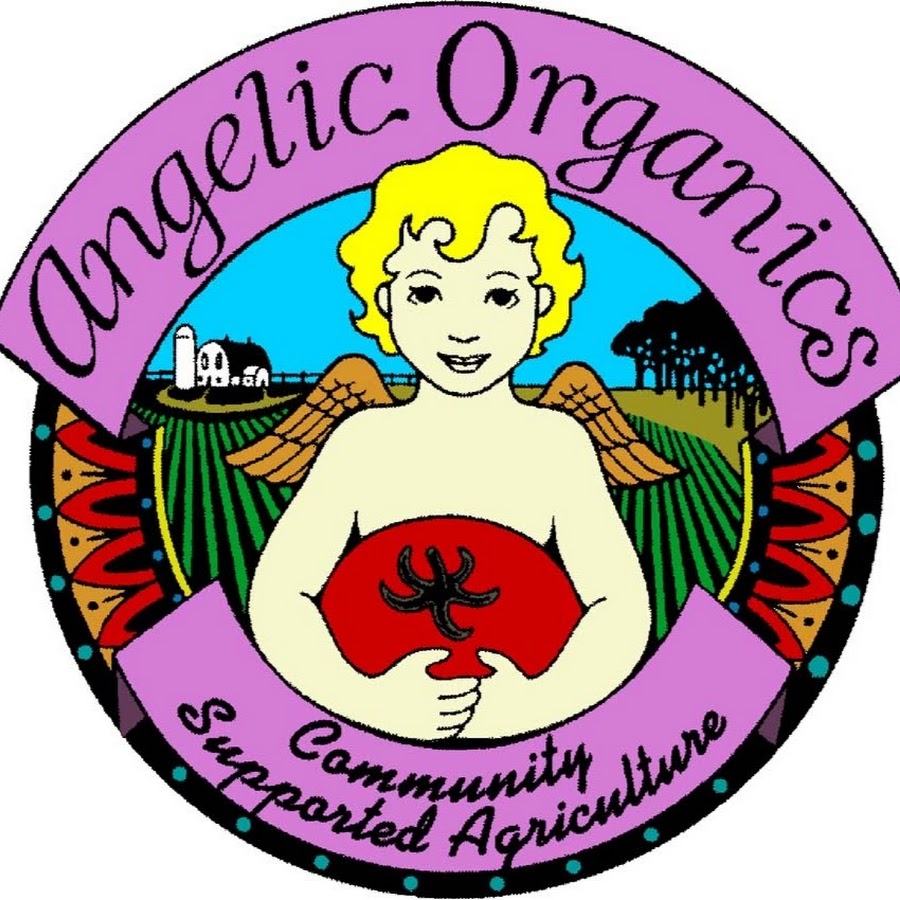 Organic angels. Vegetable boxing. Organic angels. Organic angels. Organic angels.