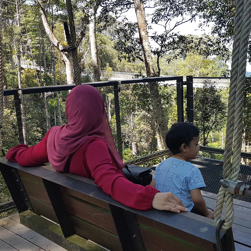 Ana Suhana - 網紅的藏寶箱 